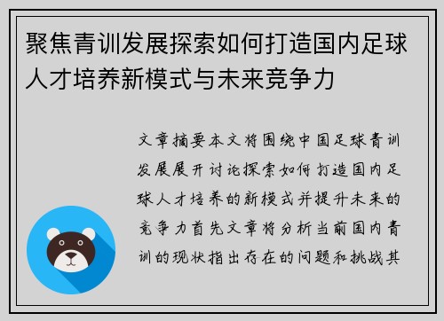 聚焦青训发展探索如何打造国内足球人才培养新模式与未来竞争力